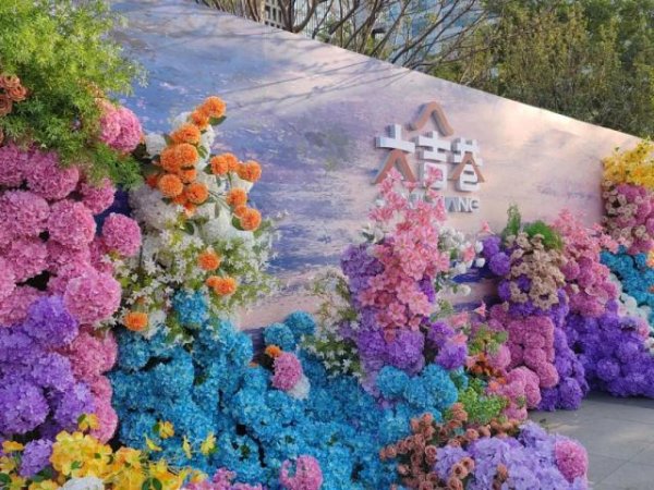 杨方配资 中海大吉巷，初见很惊喜，然后呢？