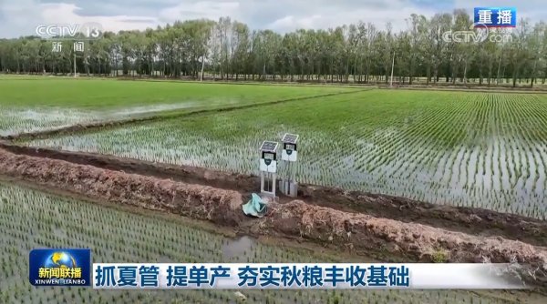百胜证券 抓夏管 提单产 夯实秋粮丰收基础